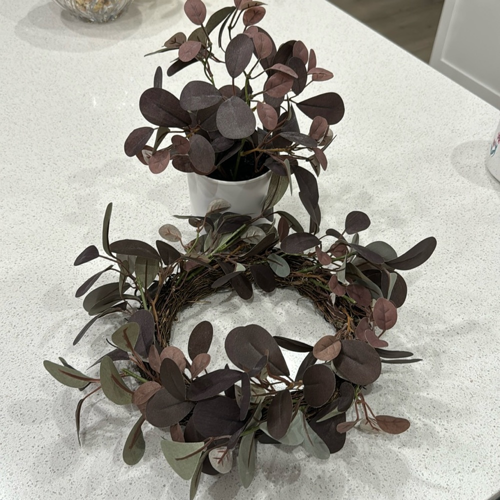 Small wreath and small plant
